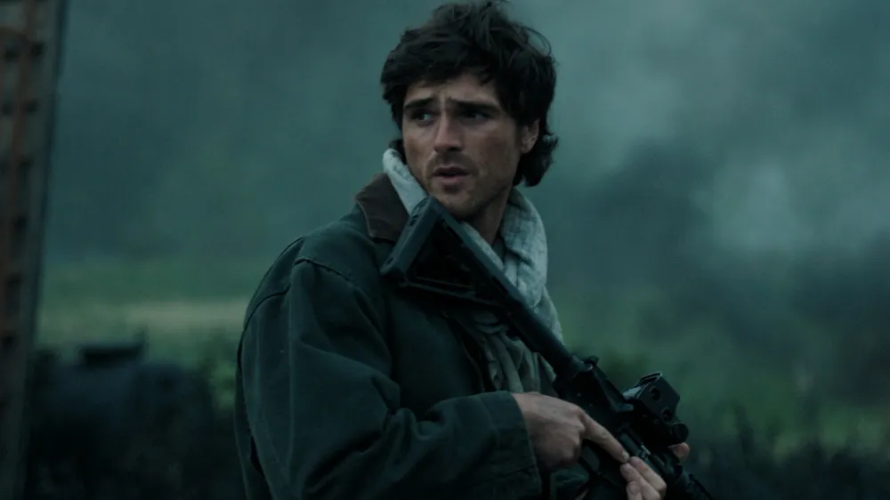Hig armed with a rifle